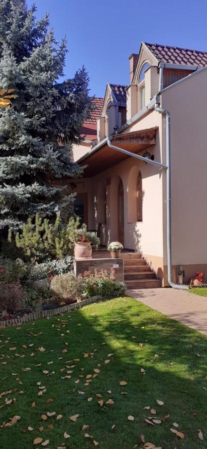 Hotel Kenguru Panzio Hódmezővásárhely Exterior foto